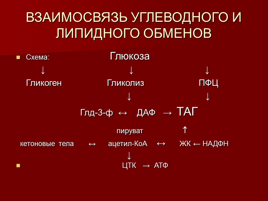 ВЗАИМОСВЯЗЬ УГЛЕВОДНОГО И ЛИПИДНОГО ОБМЕНОВ Схема: Глюкоза ↓ ↓ ↓ Гликоген Гликолиз ПФЦ ↓